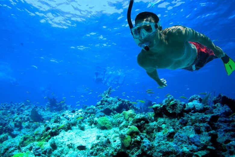 Snorkeling around Comino island