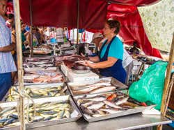 A woman selling fish at a market