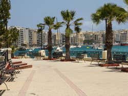 A seaside promenade with palm trees under a blue sky