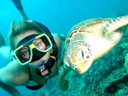 A woman snorkelling next to a turtle