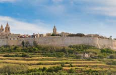 Mdina and Dingli Cliffs Day trip